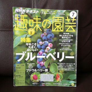 カオリン様専用 NHK 趣味の園芸 2017年 07月号(専門誌)