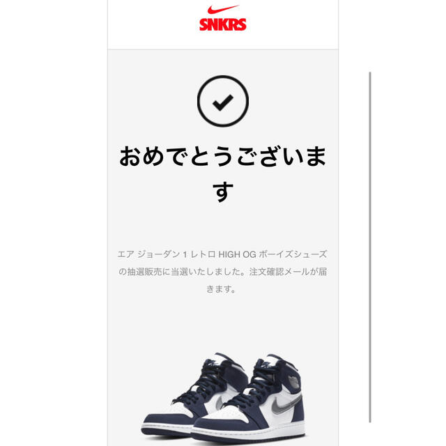 NIKE エアジョーダン1 レトロ　HIGH OG CO.JP 22.5cm