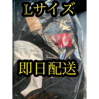 シュプリーム(Supreme)のSUPREME S Logo Mountain Jacket　ノースフェイス(マウンテンパーカー)