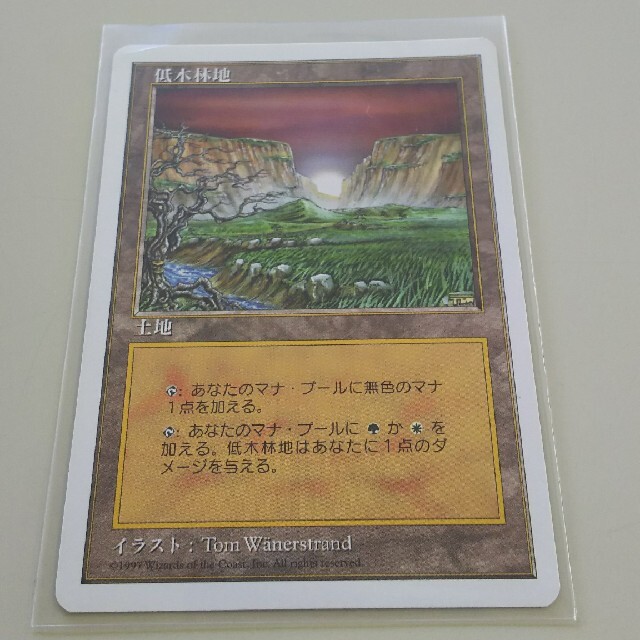 マジック：ザ・ギャザリング(マジックザギャザリング)のMＴG 低木林地/Brushland エンタメ/ホビーのトレーディングカード(シングルカード)の商品写真