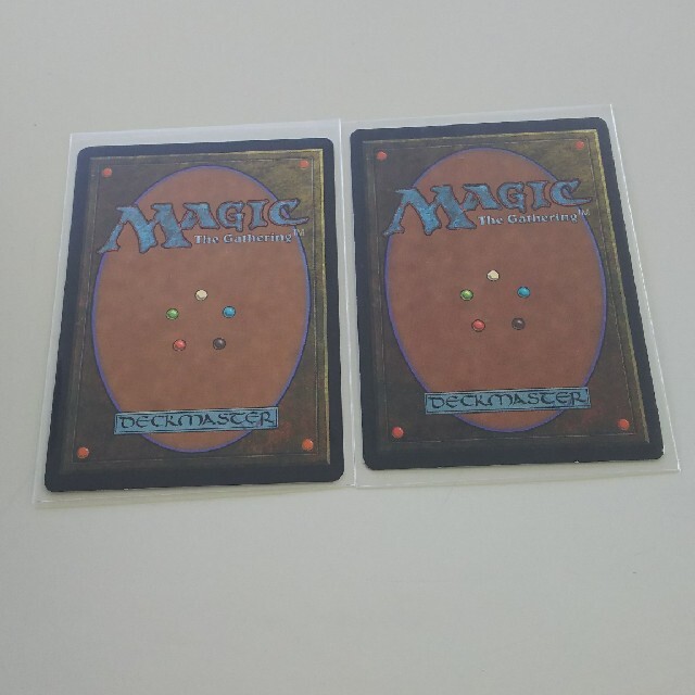 マジック：ザ・ギャザリング(マジックザギャザリング)のMＴG アダーカー荒原/AdarkarWastes(EN)2枚 エンタメ/ホビーのトレーディングカード(シングルカード)の商品写真