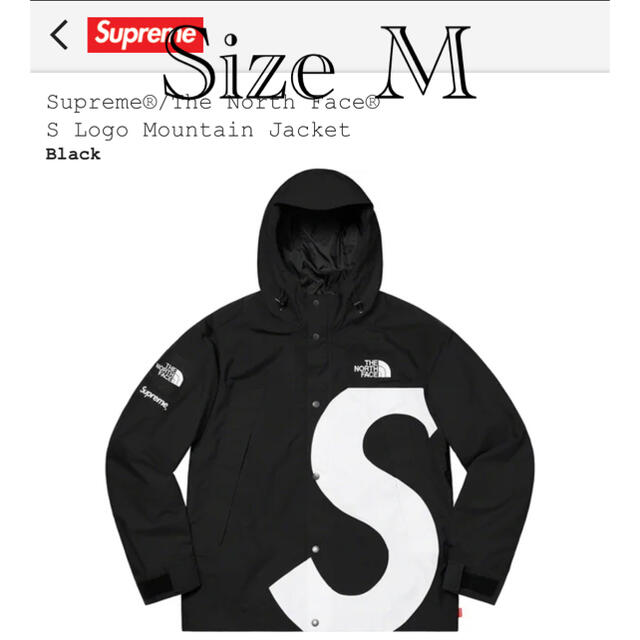 Supreme - Supreme/The North Face S Logo Mountain