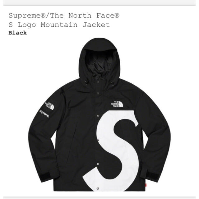 マウンテンパーカーSupreme the north face S logo mountain