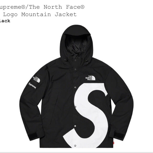 Supreme(シュプリーム)のSupreme thenorthfaceSlogomountainjacket メンズのジャケット/アウター(マウンテンパーカー)の商品写真