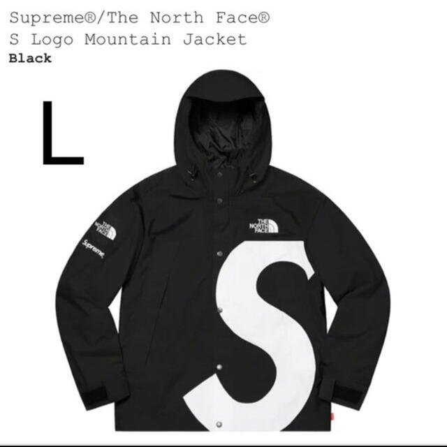 ジャケット/アウターsupreme the north face Mountain Jacket L