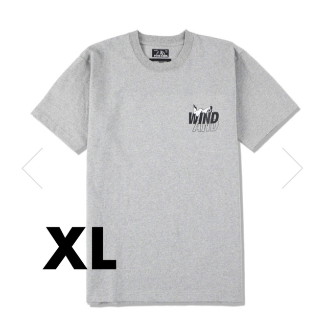 HYSTERIC GLAMOUR x WDS T-SHIRT / GRAY XL メンズのトップス(Tシャツ/カットソー(半袖/袖なし))の商品写真