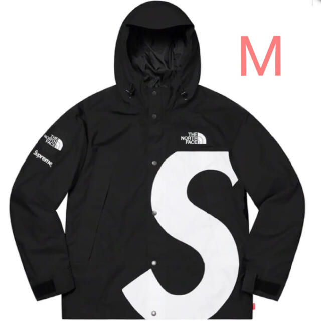 Supreme The North Face Mountain Jacket