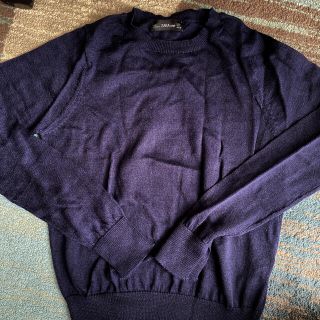 ザラ(ZARA)のzara knit (ニット/セーター)