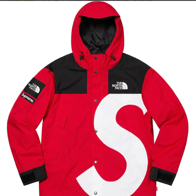 supreme north face mountain parka