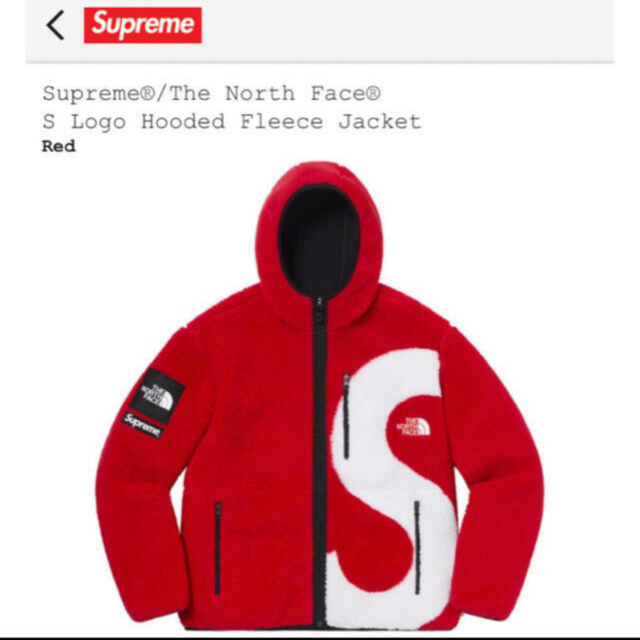 The North Face  S Logo Hooded Fleece 1