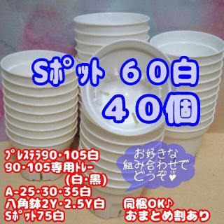 【スリット鉢】Ｓポット丸型60白40個 プレステラ 多肉植物(プランター)