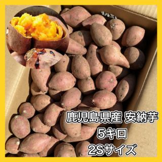 鹿児島県産　安納芋　さつまいも　5キロ　即購入OK！(野菜)