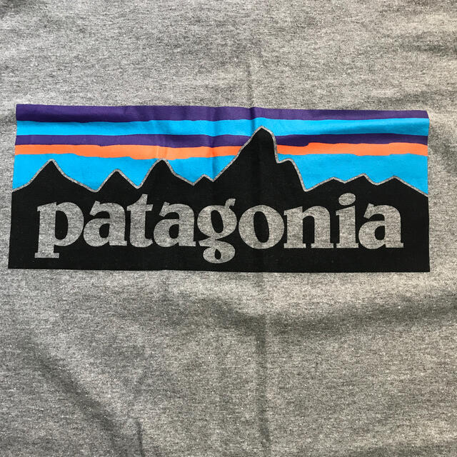 patagonia(パタゴニア)のPatagonia  パタゴニア メンズのトップス(Tシャツ/カットソー(半袖/袖なし))の商品写真