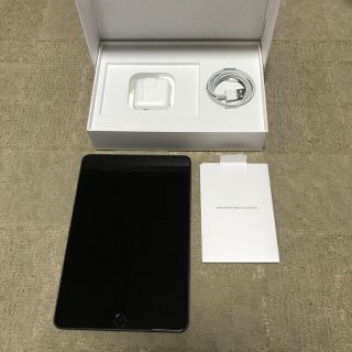 iPad mini 5 SIMフリー 256GB スペースグレー 美品