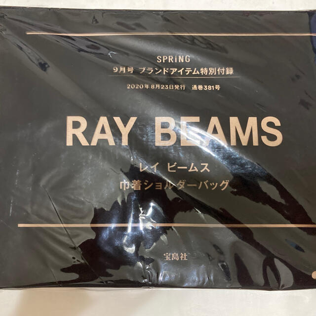 Ray BEAMS(レイビームス)のSPRiNG 9月号付録　レイ ビームス　巾着ショルダーバッグ レディースのバッグ(ショルダーバッグ)の商品写真