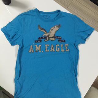 アメリカンイーグル(American Eagle)の水色(Tシャツ/カットソー(半袖/袖なし))