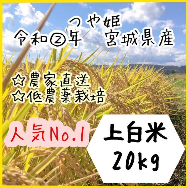 即購入OK♪【農家直送】宮城県産つや姫　上白米20kg【送料無料】新米☆