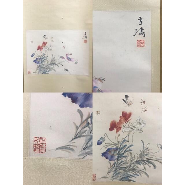 雪濤 花蝶圖