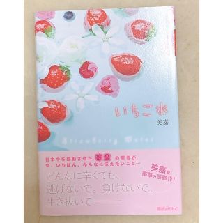 携帯小説　文庫　いちご水　美嘉　本　読書(文学/小説)