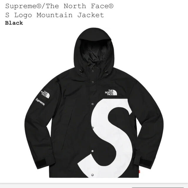 Lサイズ　supreme the north face マウンテンパーカー