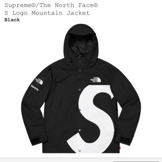 シュプリーム(Supreme)のLサイズ　supreme the north face マウンテンパーカー(マウンテンパーカー)