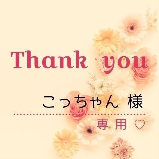 こっちゃん様専用(その他)
