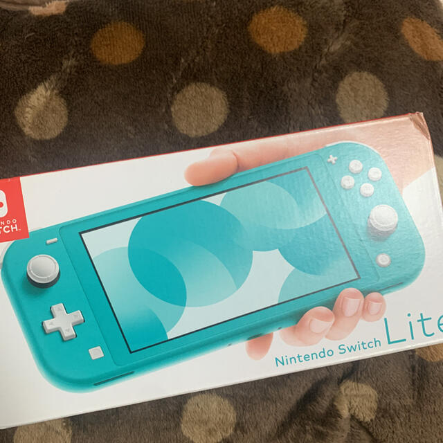 Nintendo Switch Light & ポケモン ソードNintendo