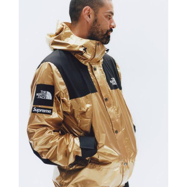 supreme north face mountain metallic