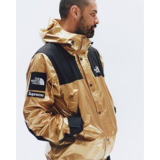 シュプリーム(Supreme)のsupreme north face mountain metallic (マウンテンパーカー)