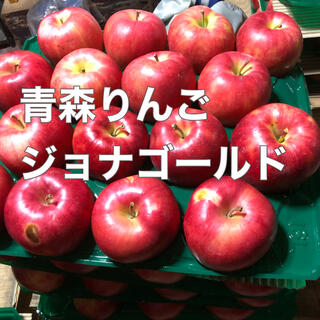青森りんご　ジョナゴールド　家庭用　５キロ　送料込(フルーツ)