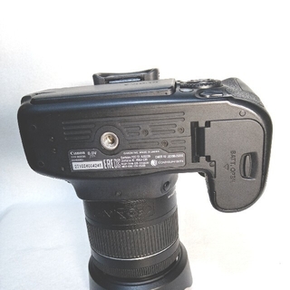 Canon - EOS80D mouさま専用 ボディのみの通販 by yanakaz's shop ...