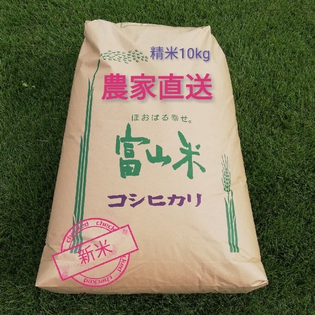 コシヒカリ　精米10kg　新米　令和２年度　立山産　富山県　米/穀物