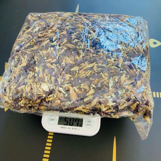 バタフライピー　青いお茶　約500g(健康茶)