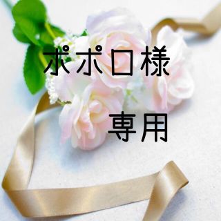 ポポロ様専用お米　令和2年　愛媛県産コシヒカリ　白米　20㎏(米/穀物)