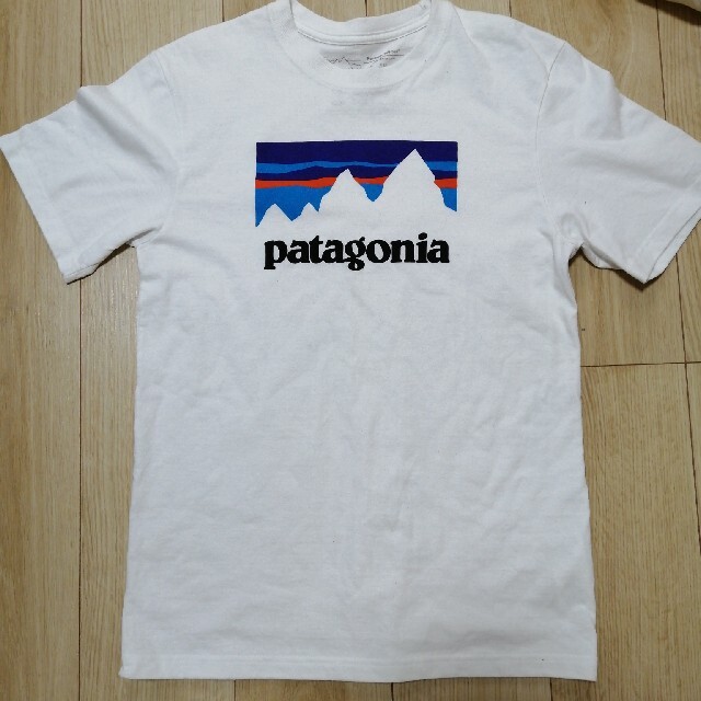 patagonia(パタゴニア)の送料無料  patagoniaパタゴニア tシャツ 美品  メンズのトップス(Tシャツ/カットソー(半袖/袖なし))の商品写真