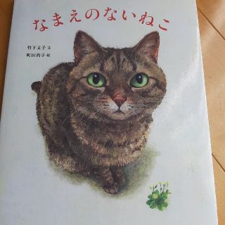 なまえのないねこ(絵本/児童書)