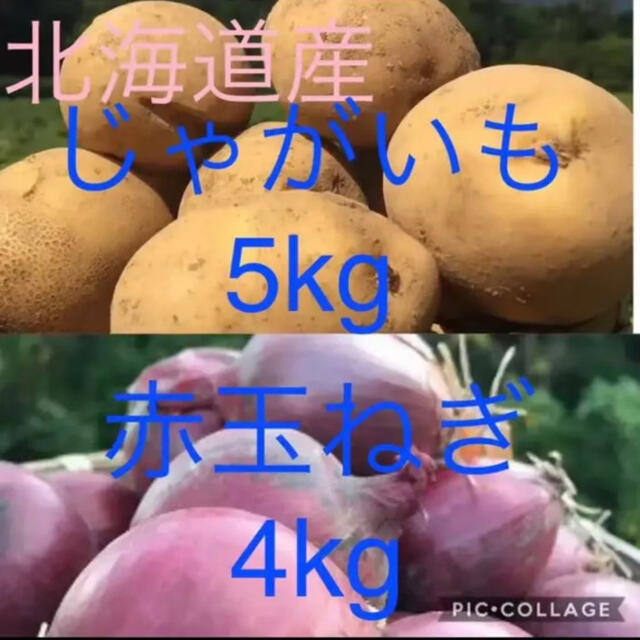 北海道産じゃがいも5kg玉ねぎ4kg 食品/飲料/酒の食品(野菜)の商品写真