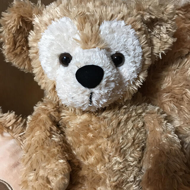 WDW ダッフィー クリーム ビーズ入り ぬいぐるみ ディズニーベア