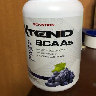 エクステンド　xtend グレープ　BCAA (アミノ酸)