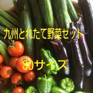 九州とれたて野菜セット(野菜)