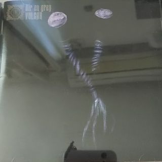 DIR EN GREY VULGAR CD(ポップス/ロック(邦楽))