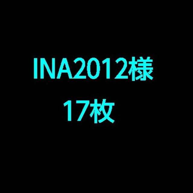 INA2012 17枚