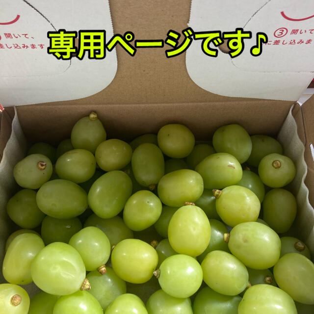 【訳あり】シャインマスカット　2k食品/飲料/酒