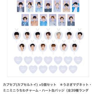 セブンティーン(SEVENTEEN)の新品　SEVENTEEN SVTドームツアーランダムカプセルトイ 5個入(K-POP/アジア)