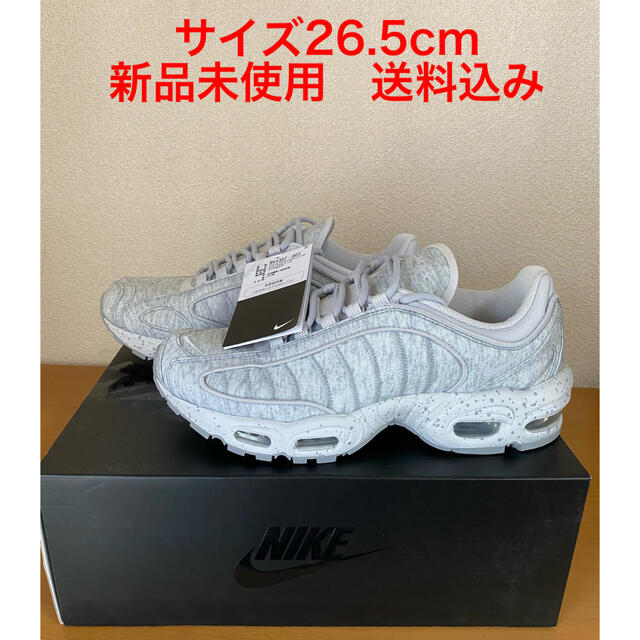 NIKE AIR MAX TAILWINDⅣ SP 26.5cm