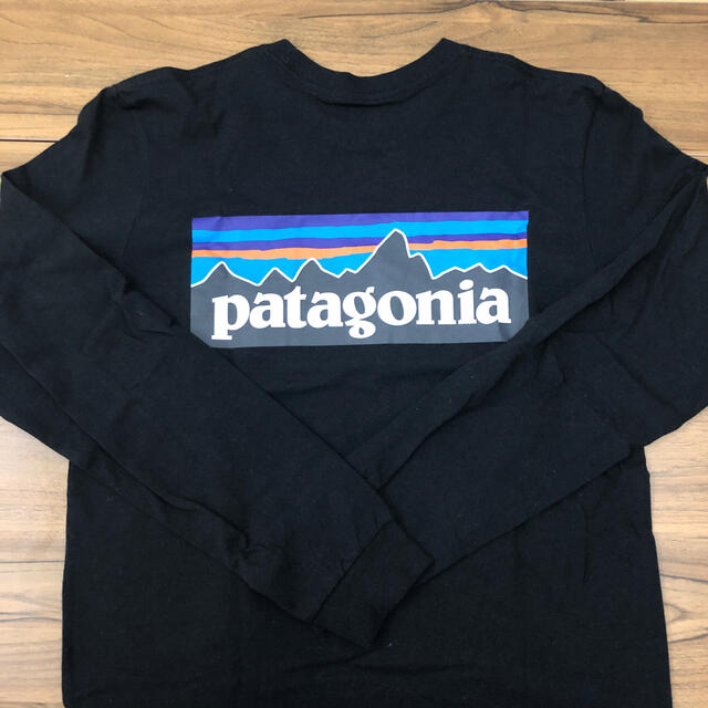 patagonia(パタゴニア)のパタゴニア ロングTシャツ レディースのトップス(Tシャツ(長袖/七分))の商品写真