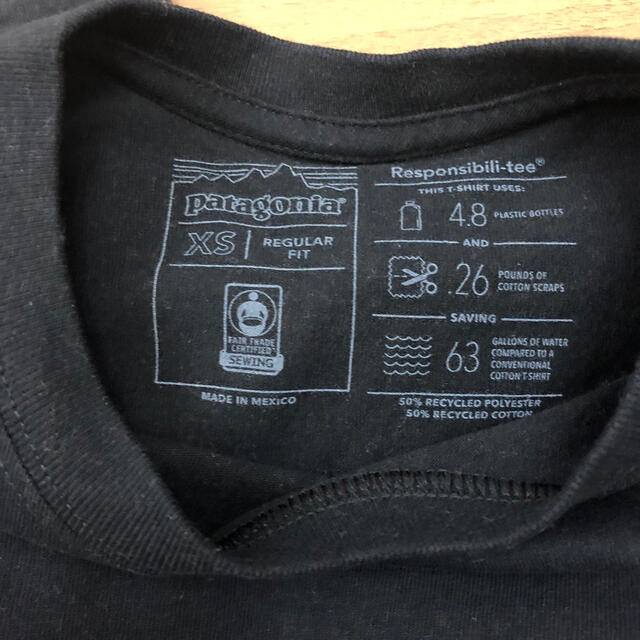 patagonia(パタゴニア)のパタゴニア ロングTシャツ レディースのトップス(Tシャツ(長袖/七分))の商品写真