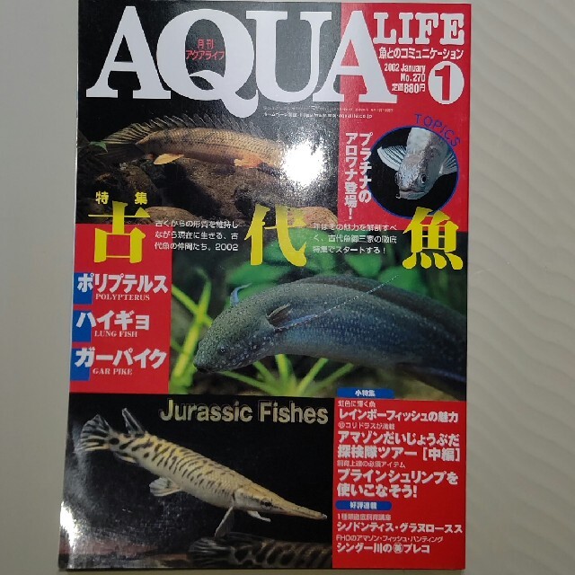 月刊アクアライフ 古代魚特集 ポリプテルス ガーパイク ハイギョ エンタメ/ホビーの雑誌(アート/エンタメ/ホビー)の商品写真