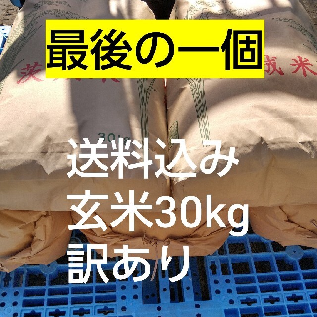 訳あり20年度新米　送料込