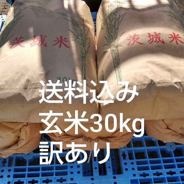 訳あり20年度新米　送料込み食品/飲料/酒